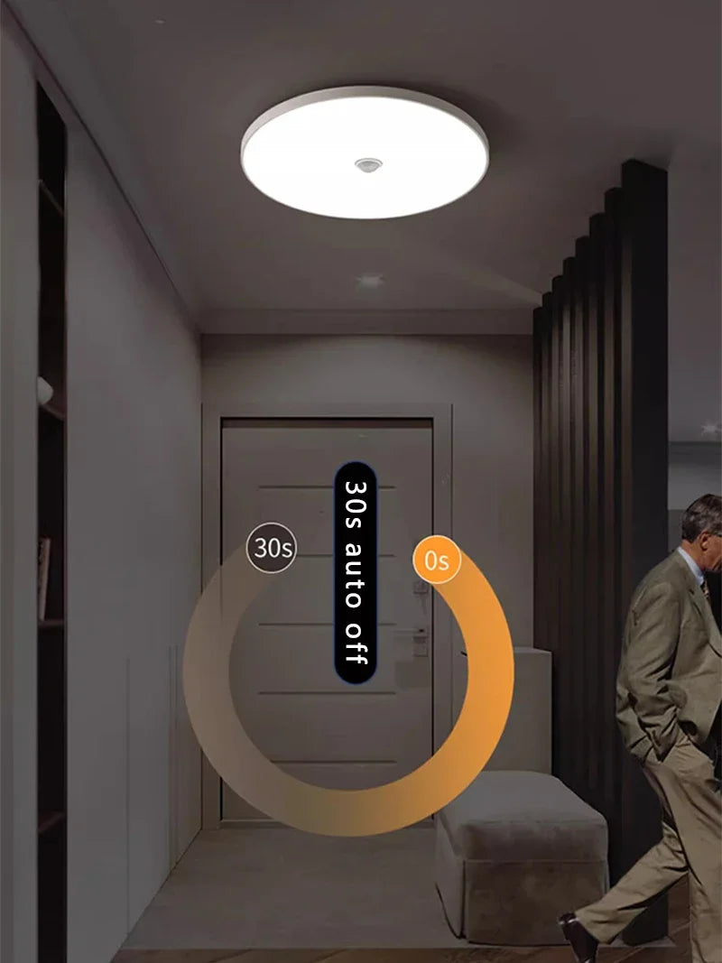 Motion Sensor Ceiling Light