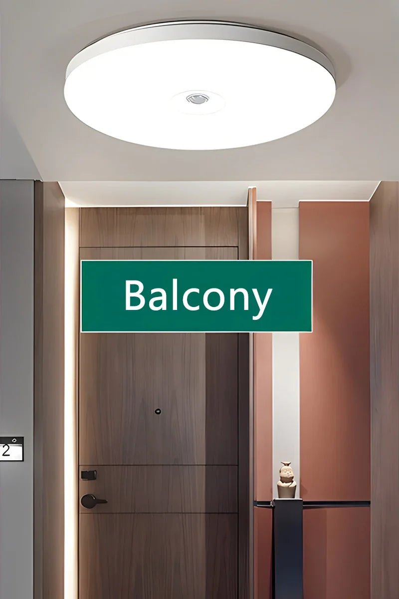 Motion Sensor Ceiling Light