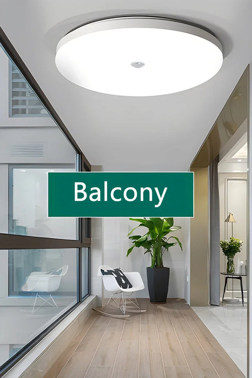 Motion Sensor Ceiling Light