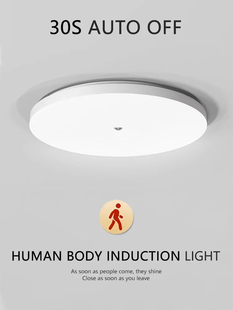 Motion Sensor Ceiling Light