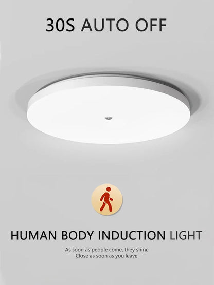 Motion Sensor Ceiling Light