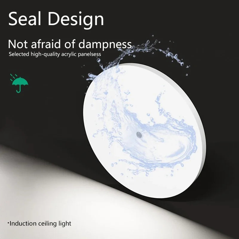 Motion Sensor Ceiling Light