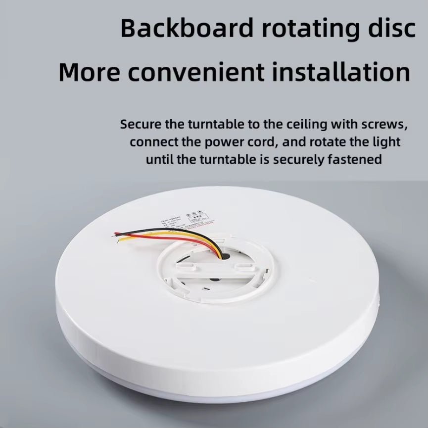 Motion Sensor Ceiling Light