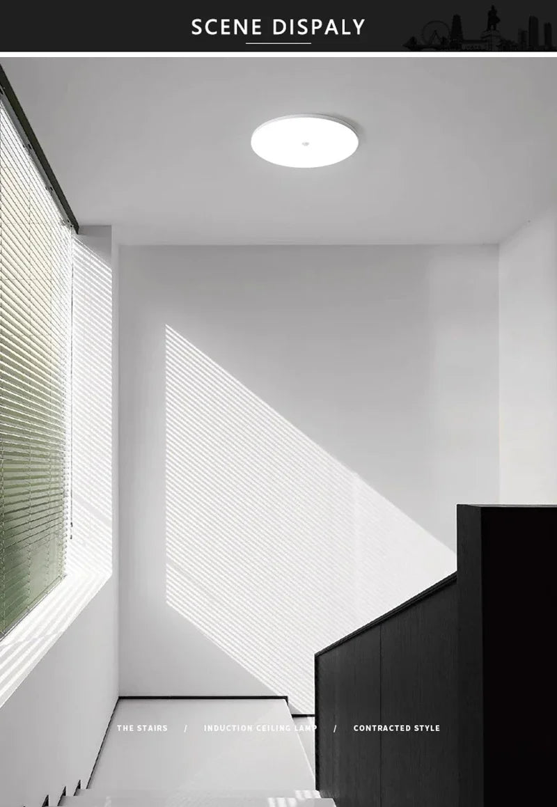 Motion Sensor Ceiling Light