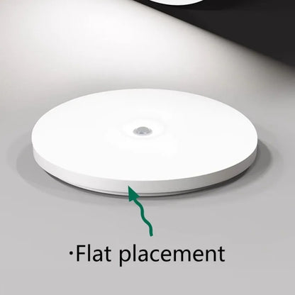 Motion Sensor Ceiling Light