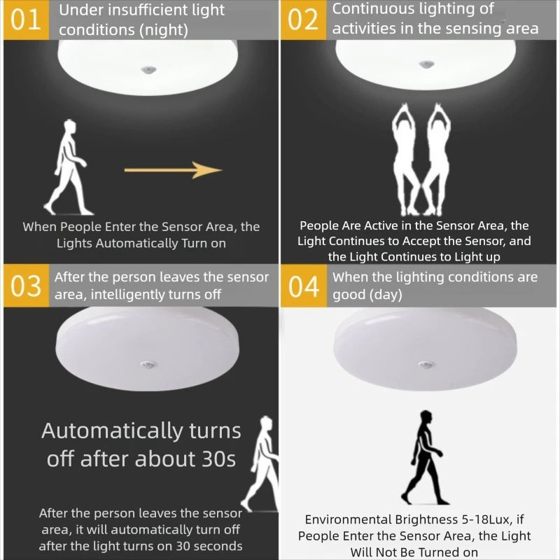 Motion Sensor Ceiling Light