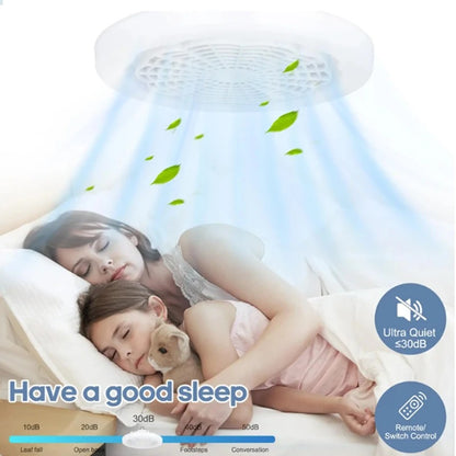 Small Ceiling Fan Light