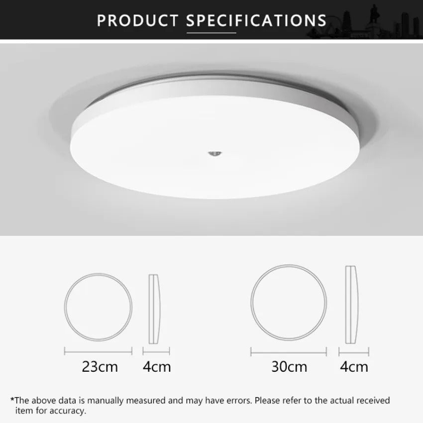 Motion Sensor Ceiling Light