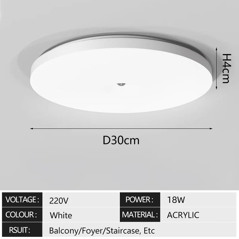 Motion Sensor Ceiling Light