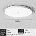 Motion Sensor Ceiling Light
